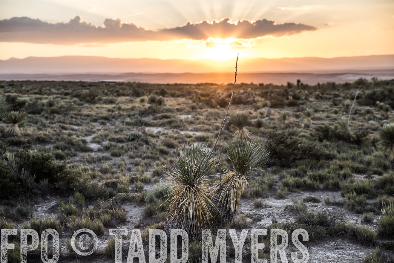 TMyers_Cimarex_TX_July2021-525111