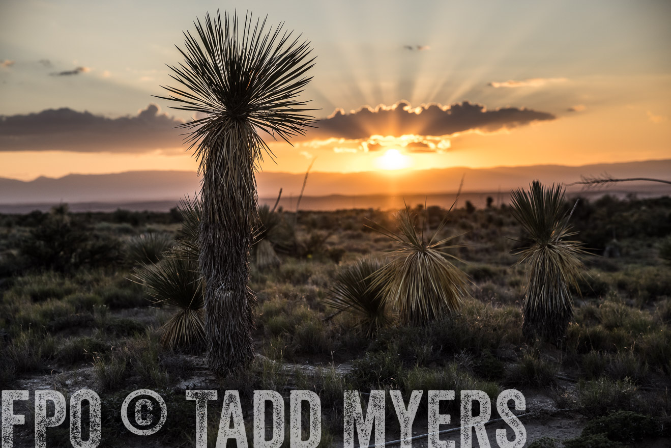 TMyers_Cimarex_TX_July2021-525114