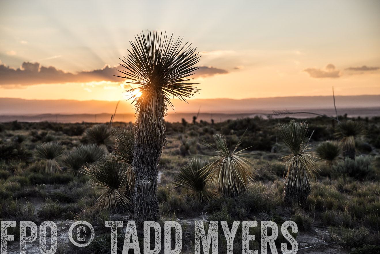 TMyers_Cimarex_TX_July2021-525117