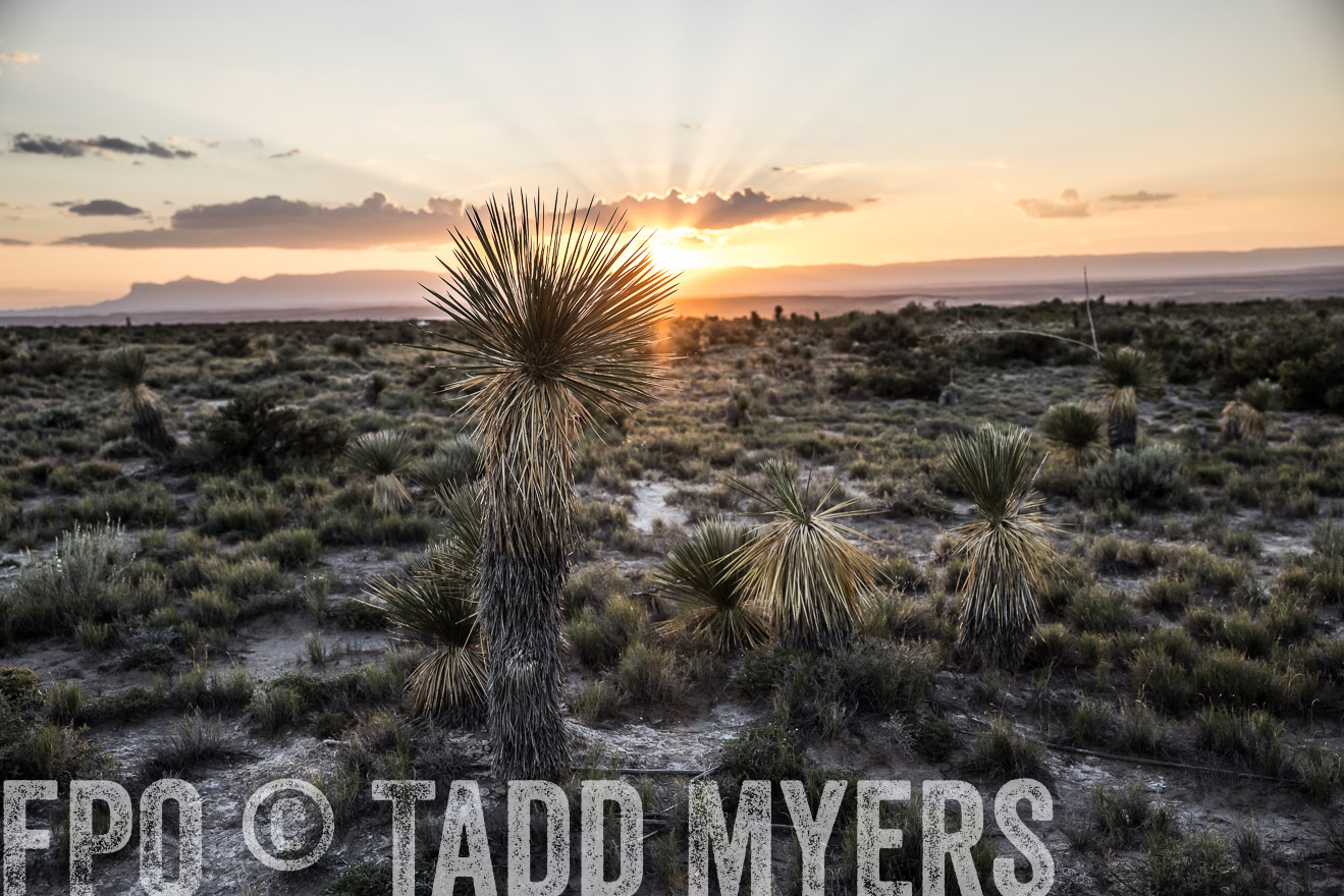 TMyers_Cimarex_TX_July2021-525120