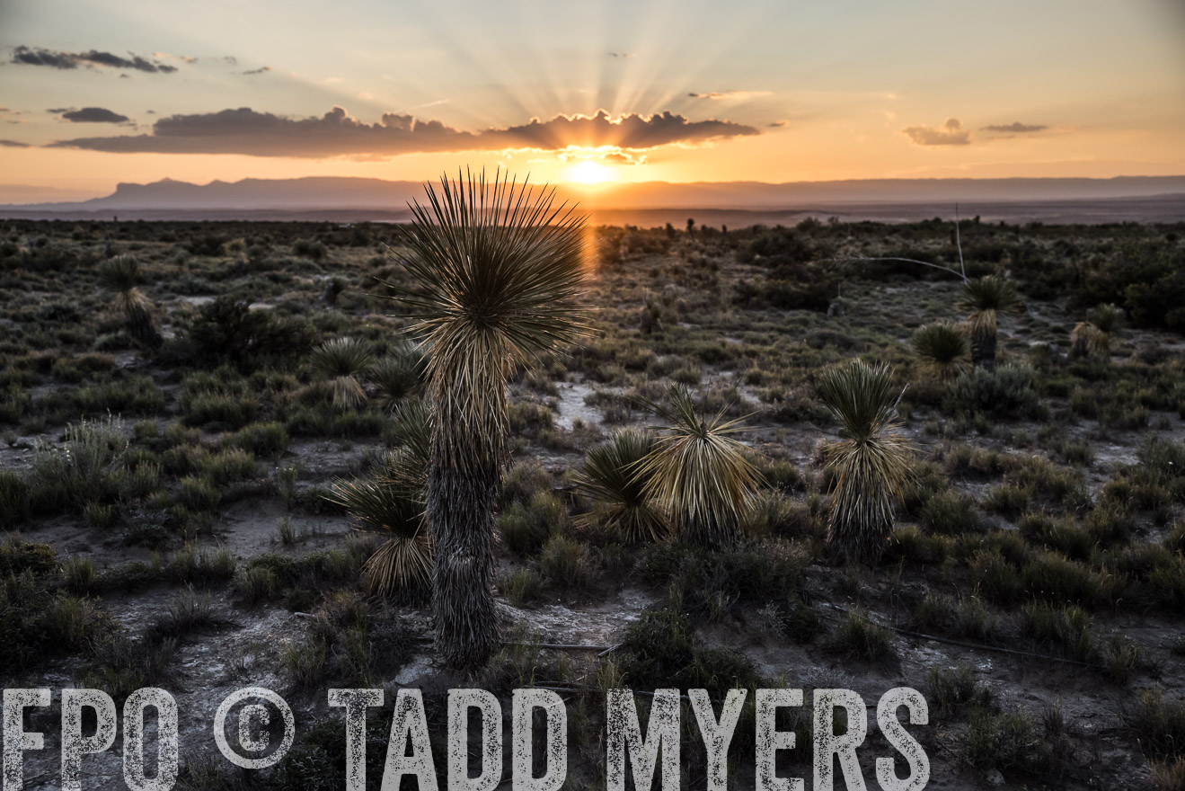 TMyers_Cimarex_TX_July2021-525124