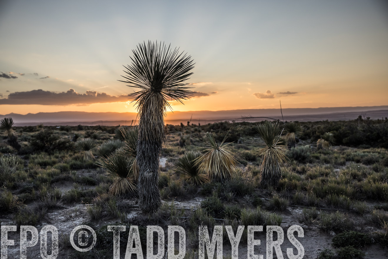TMyers_Cimarex_TX_July2021-525129
