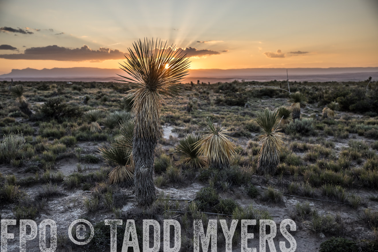 TMyers_Cimarex_TX_July2021-525136