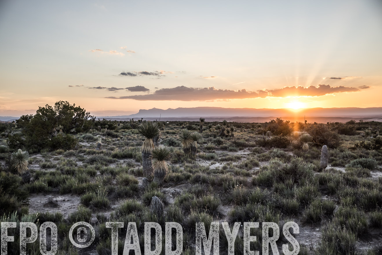 TMyers_Cimarex_TX_July2021-525158