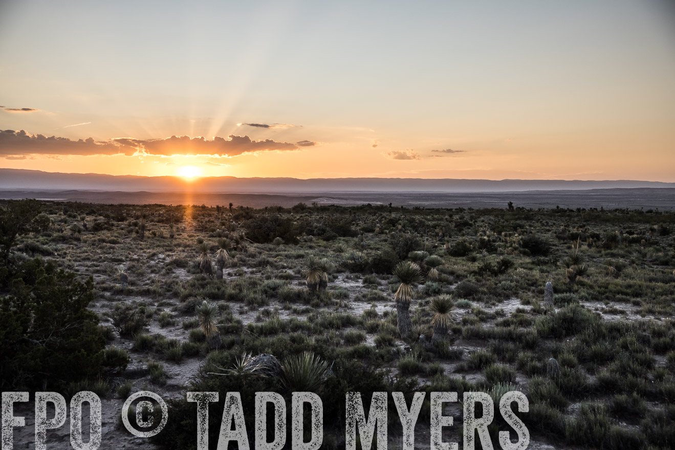 TMyers_Cimarex_TX_July2021-525165