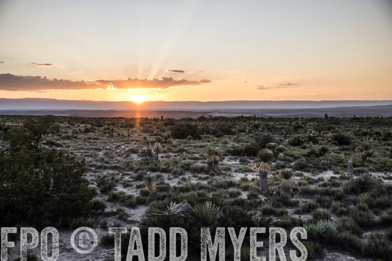 TMyers_Cimarex_TX_July2021-525171