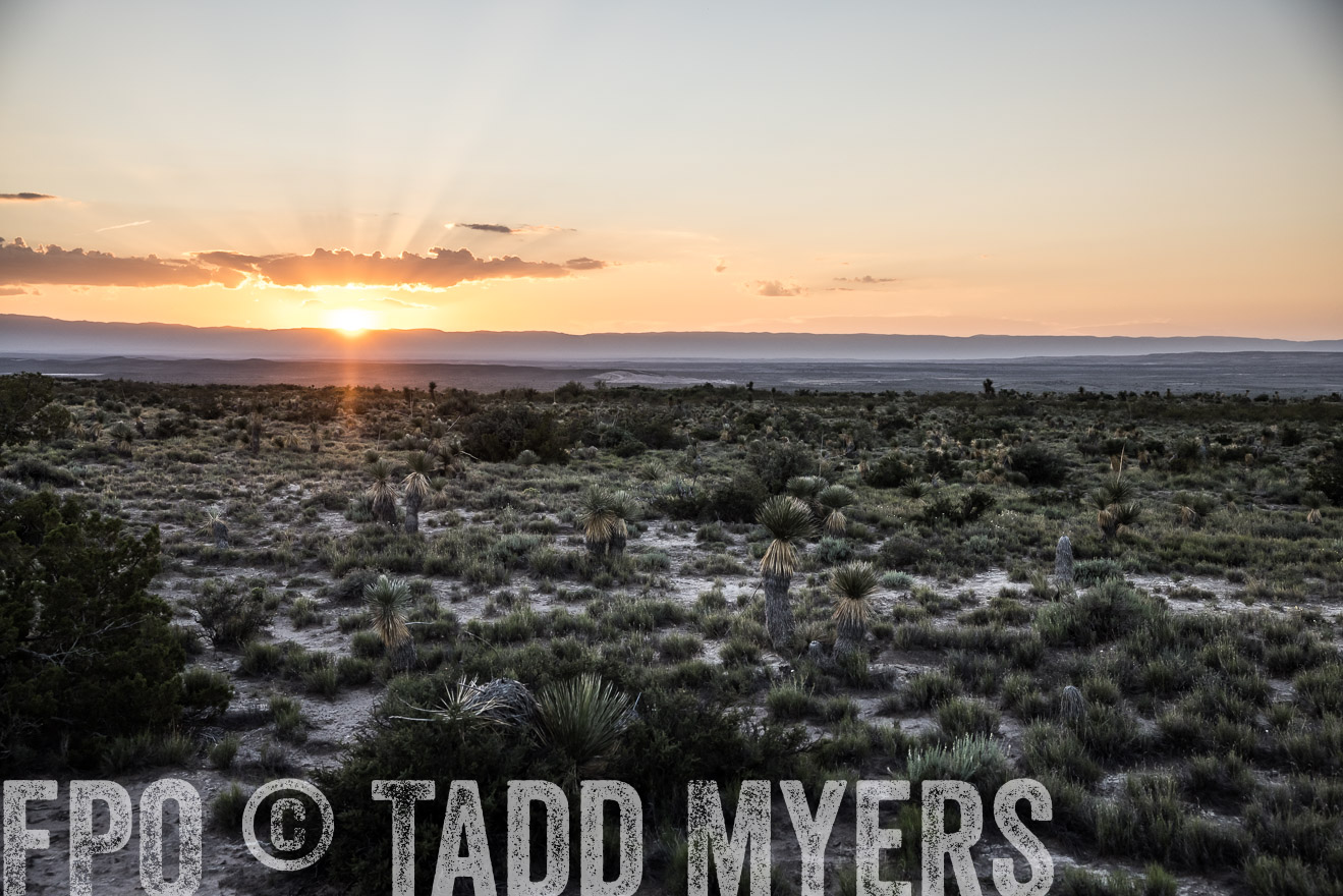TMyers_Cimarex_TX_July2021-525177