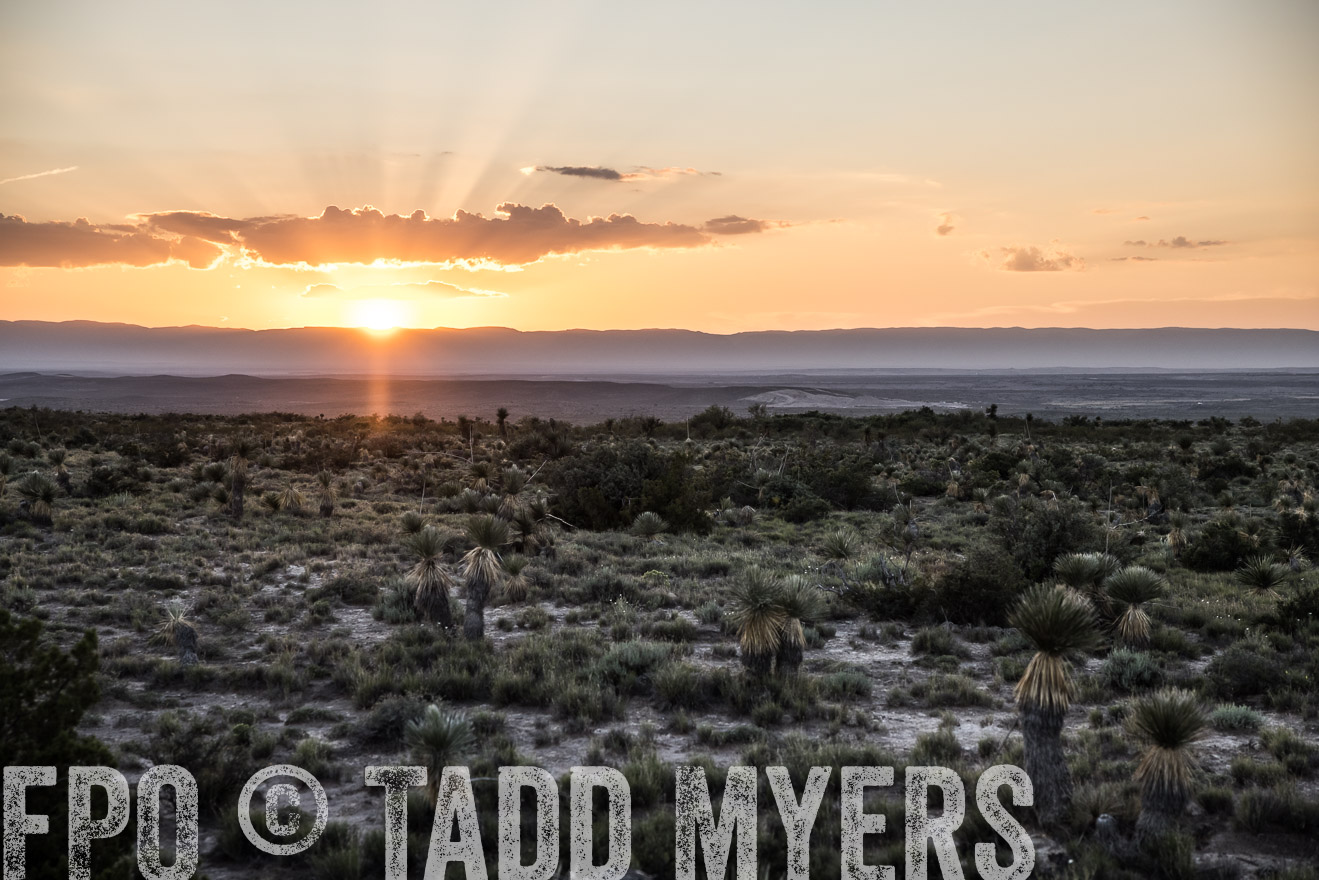 TMyers_Cimarex_TX_July2021-525180