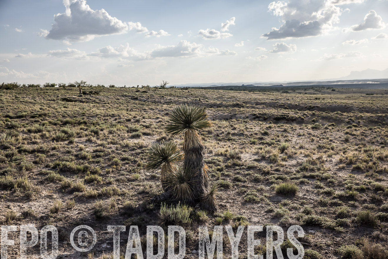 TMyers_Cimarex_TX_July2021-524835
