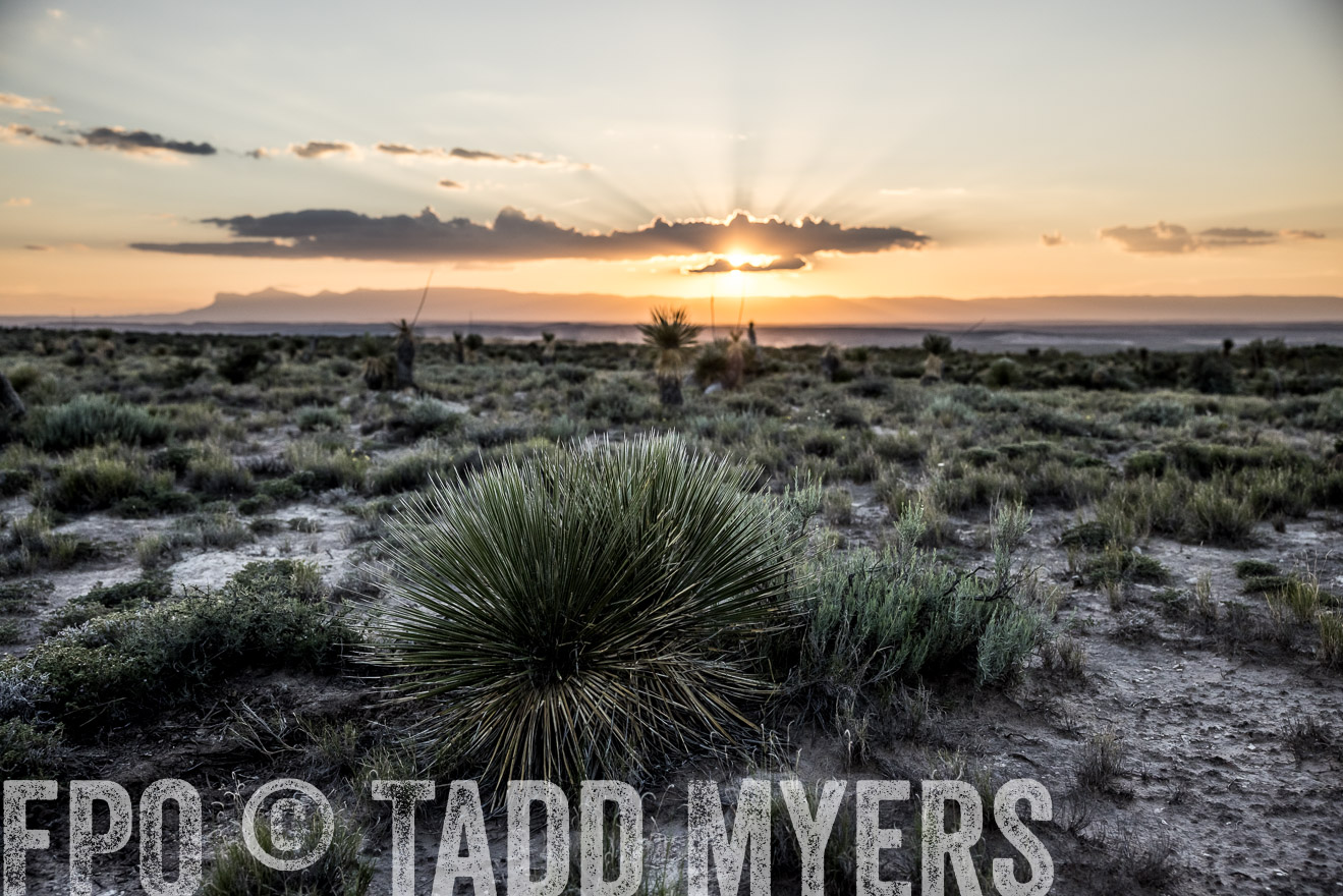 TMyers_Cimarex_TX_July2021-525100