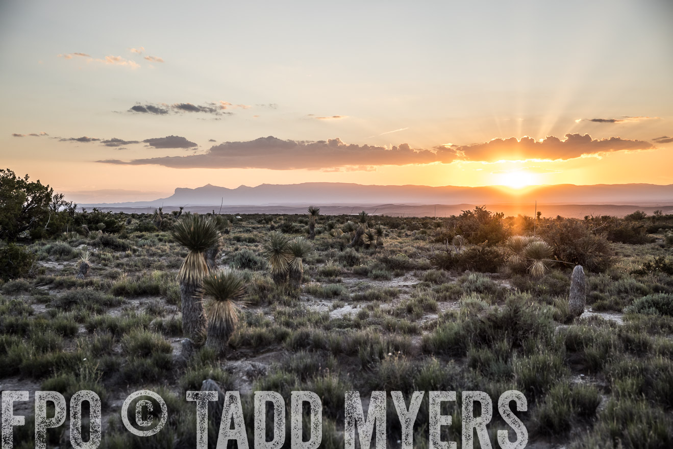 TMyers_Cimarex_TX_July2021-525155