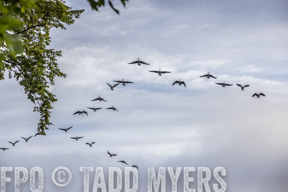 TMyers_DrKenSullivan-Bol_Vermont_Sept2022--527302