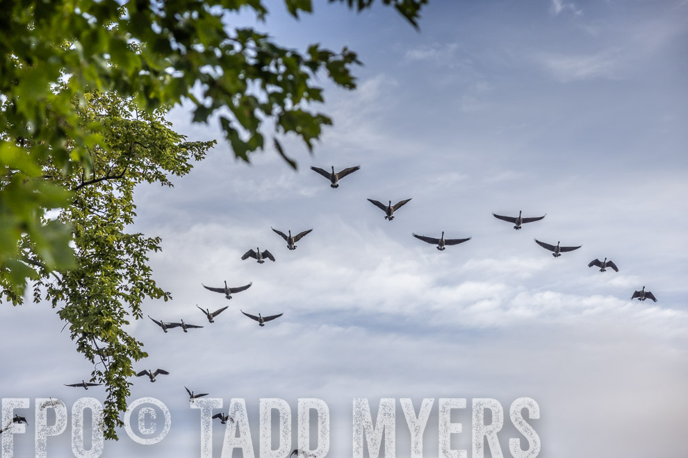 TMyers_DrKenSullivan-Bol_Vermont_Sept2022--527304