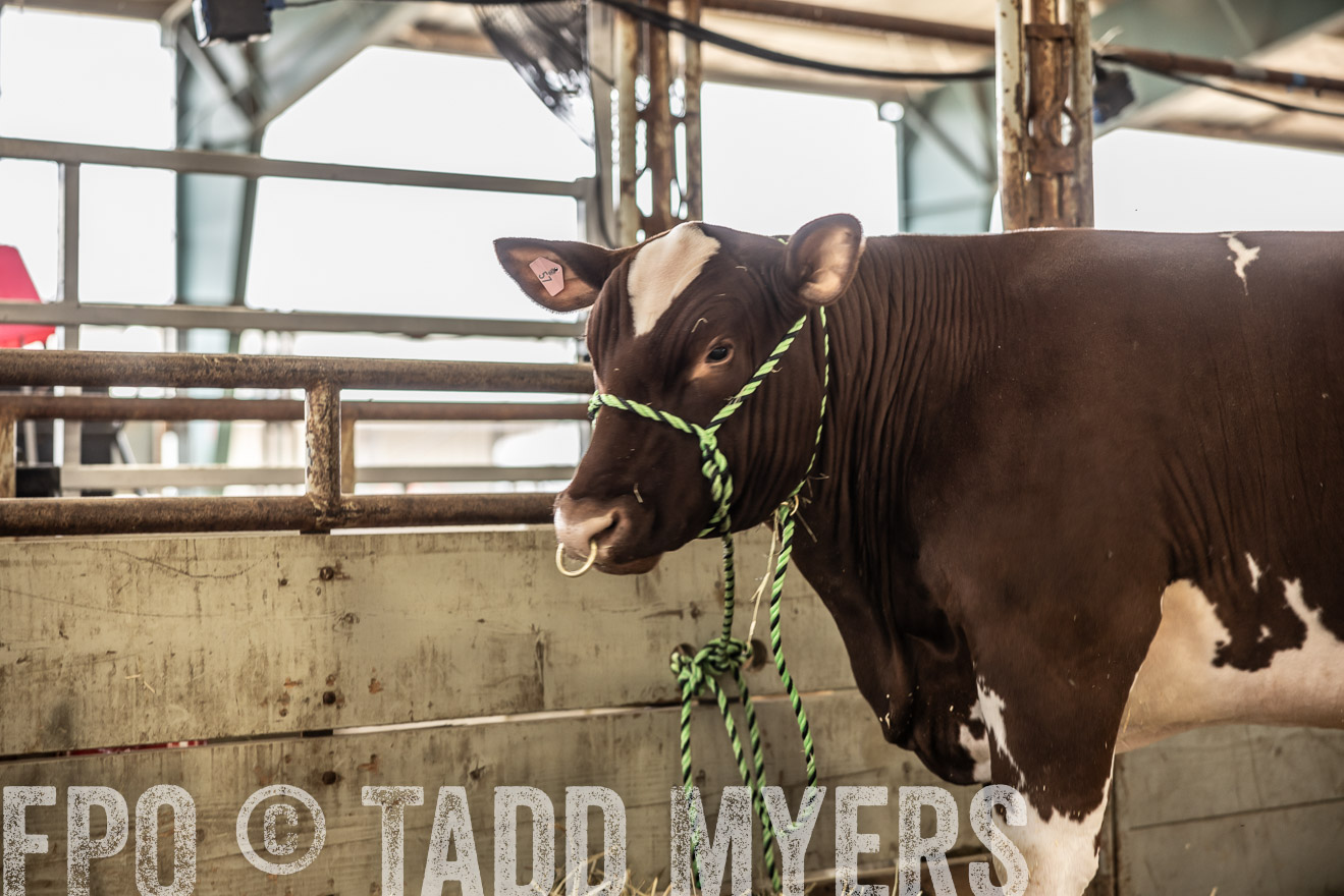TMyers_PlotTwist_HEB_ConroeTX_April2024-515689