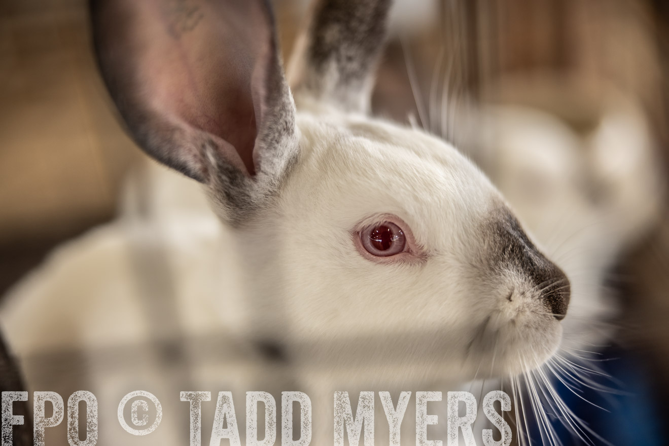 TMyers_PlotTwist_HEB_ConroeTX_April2024-515697