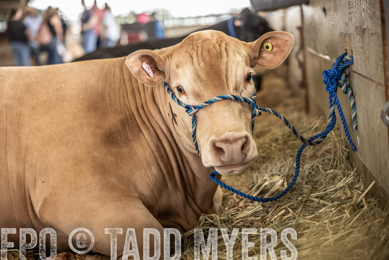 TMyers_PlotTwist_HEB_ConroeTX_April2024-515711