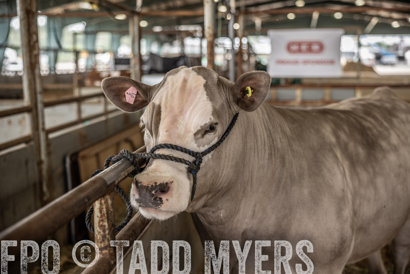 TMyers_PlotTwist_HEB_ConroeTX_April2024-515759