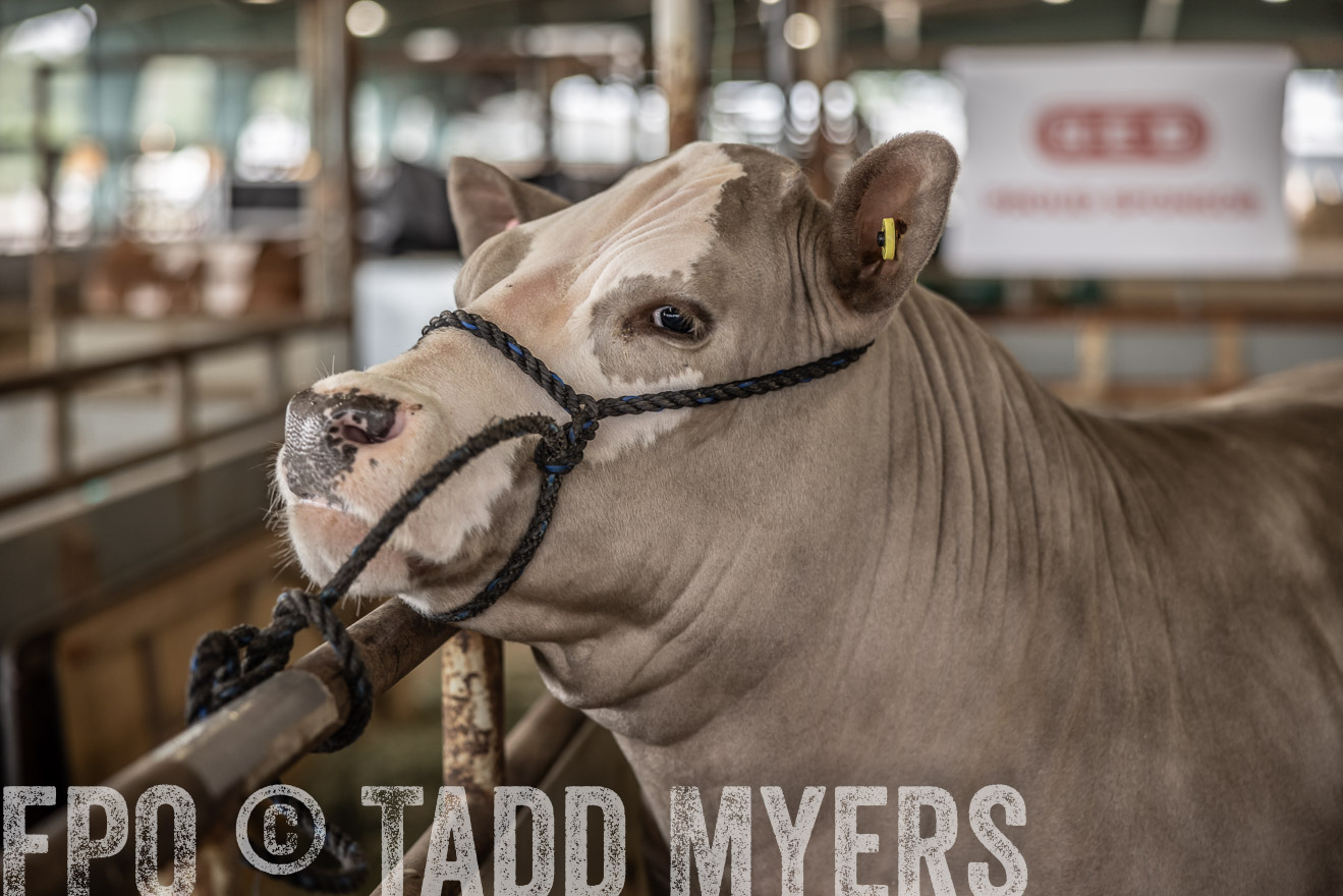 TMyers_PlotTwist_HEB_ConroeTX_April2024-515761