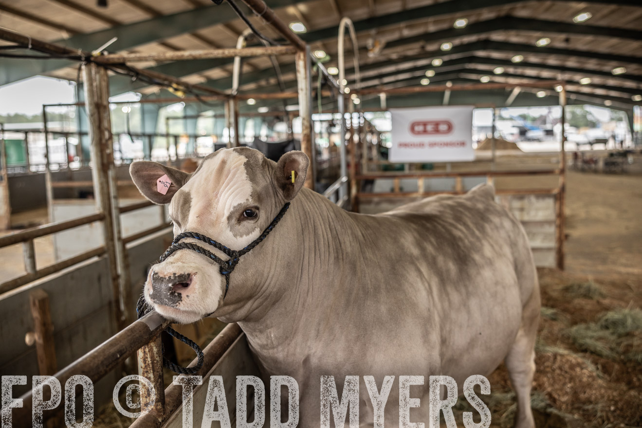 TMyers_PlotTwist_HEB_ConroeTX_April2024-515767