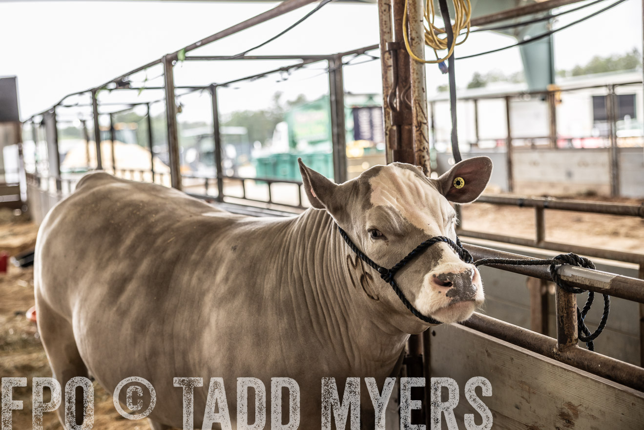 TMyers_PlotTwist_HEB_ConroeTX_April2024-515779
