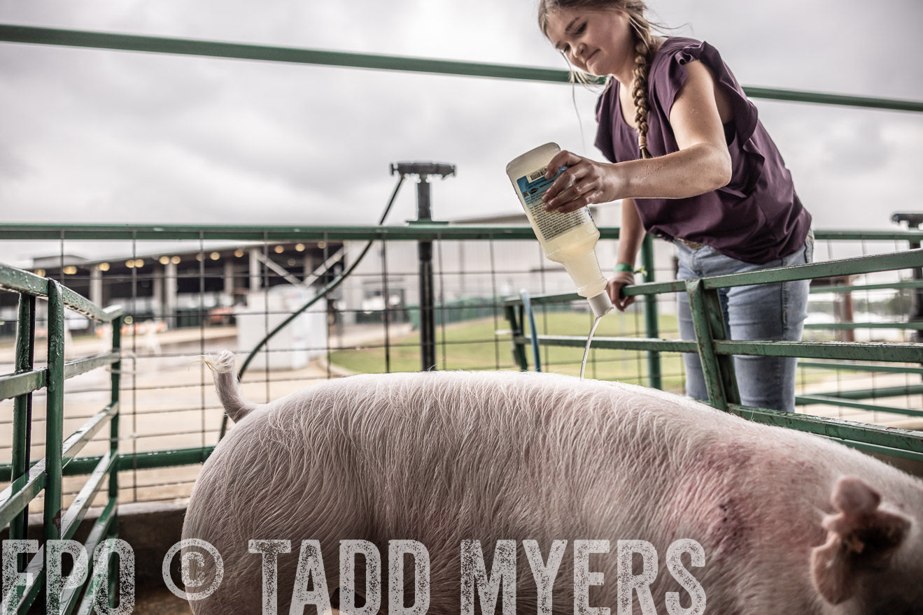 TMyers_PlotTwist_HEB_ConroeTX_April2024-515945