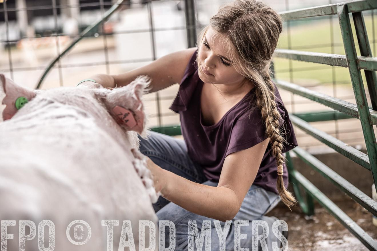 TMyers_PlotTwist_HEB_ConroeTX_April2024-515954
