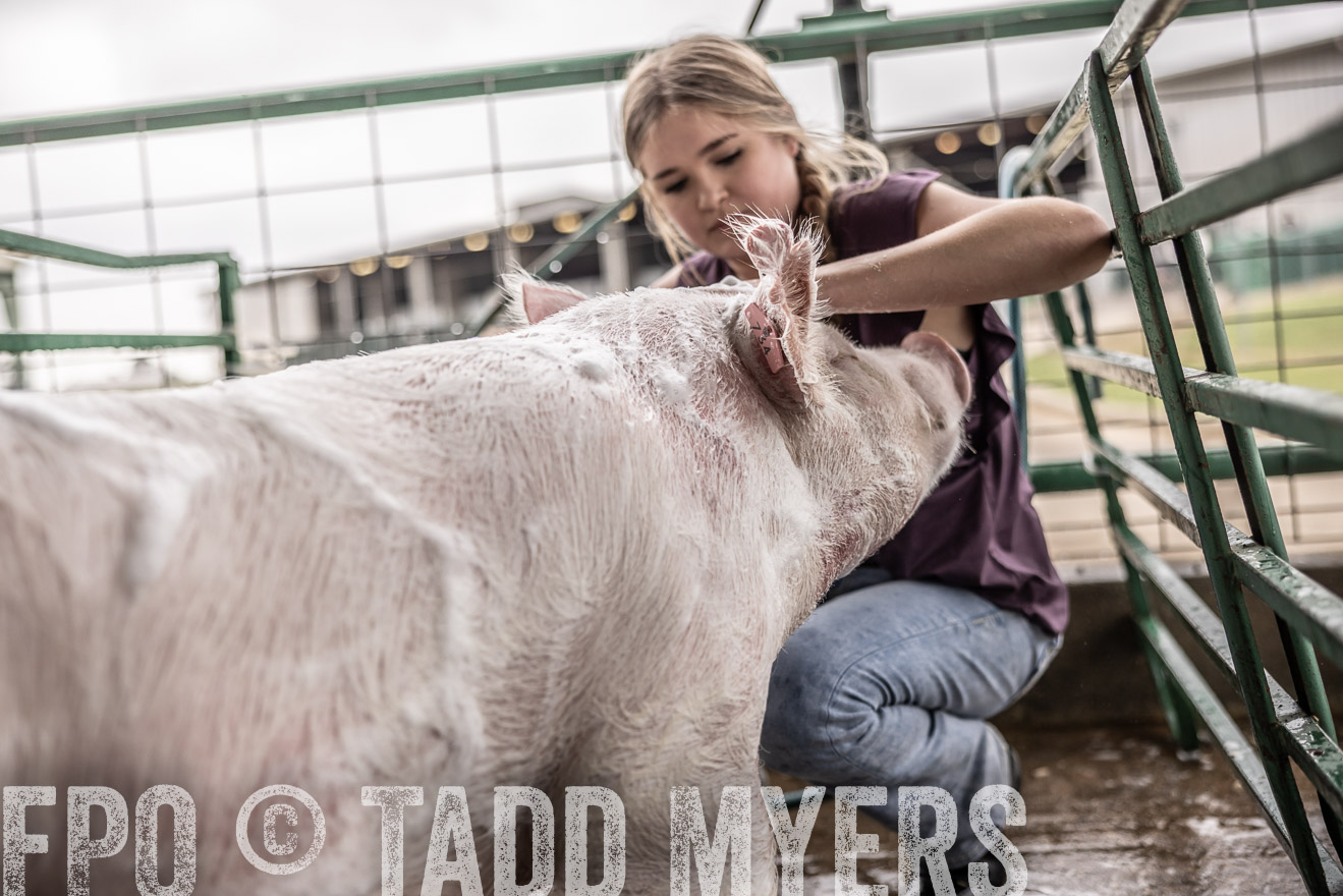 TMyers_PlotTwist_HEB_ConroeTX_April2024-515967