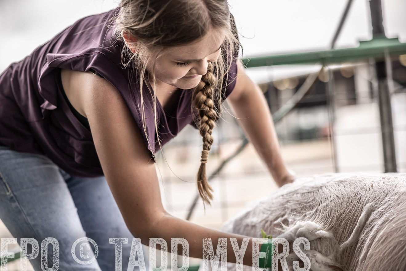 TMyers_PlotTwist_HEB_ConroeTX_April2024-515975