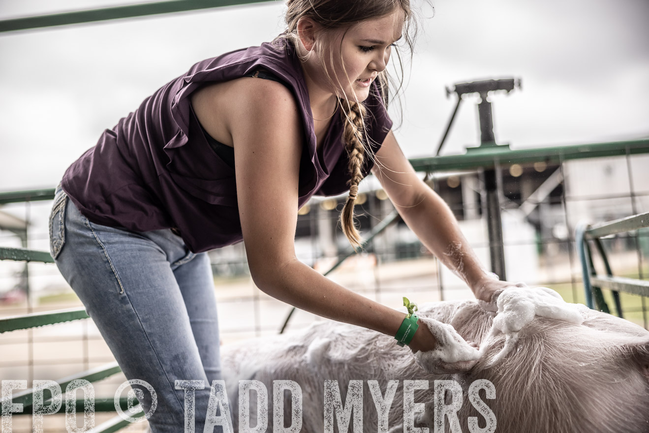 TMyers_PlotTwist_HEB_ConroeTX_April2024-515976