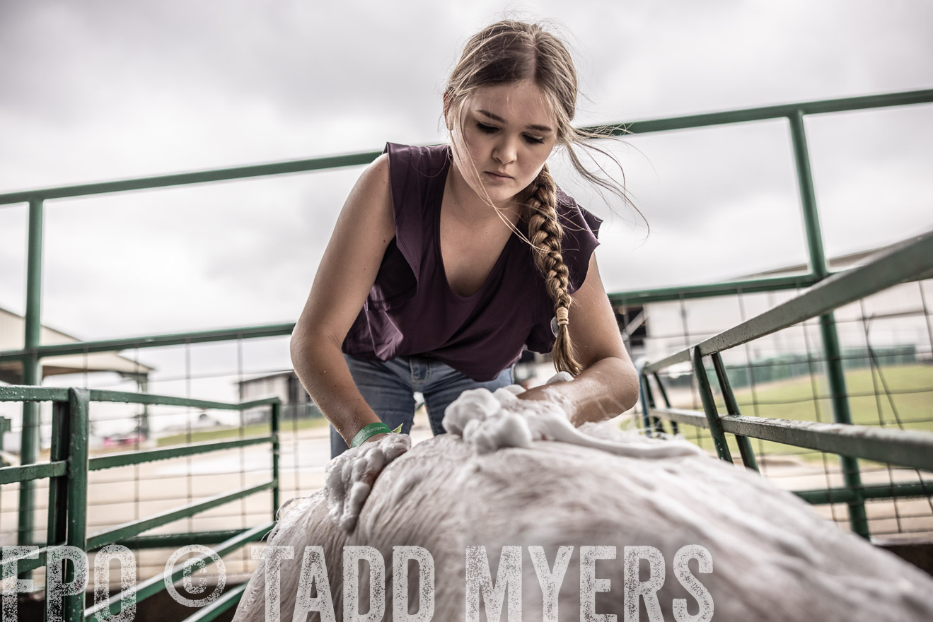 TMyers_PlotTwist_HEB_ConroeTX_April2024-515993