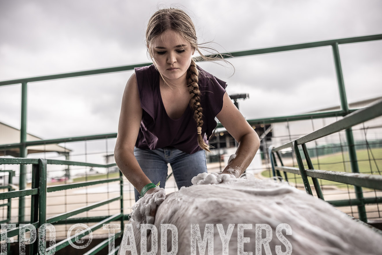 TMyers_PlotTwist_HEB_ConroeTX_April2024-515994