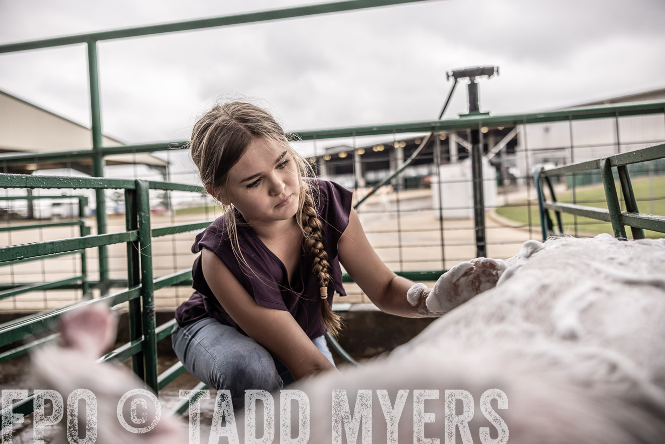 TMyers_PlotTwist_HEB_ConroeTX_April2024-515996