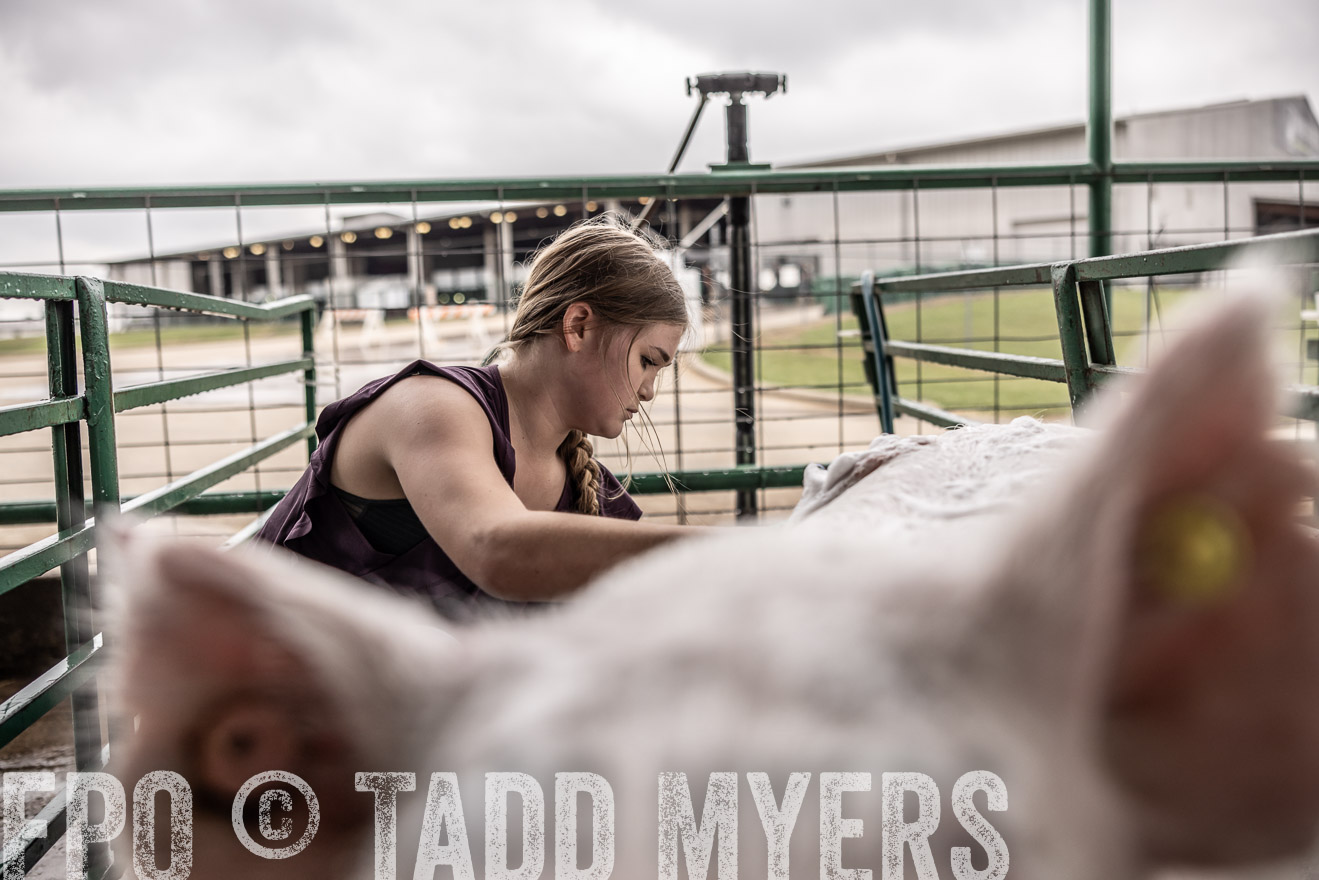 TMyers_PlotTwist_HEB_ConroeTX_April2024-516010