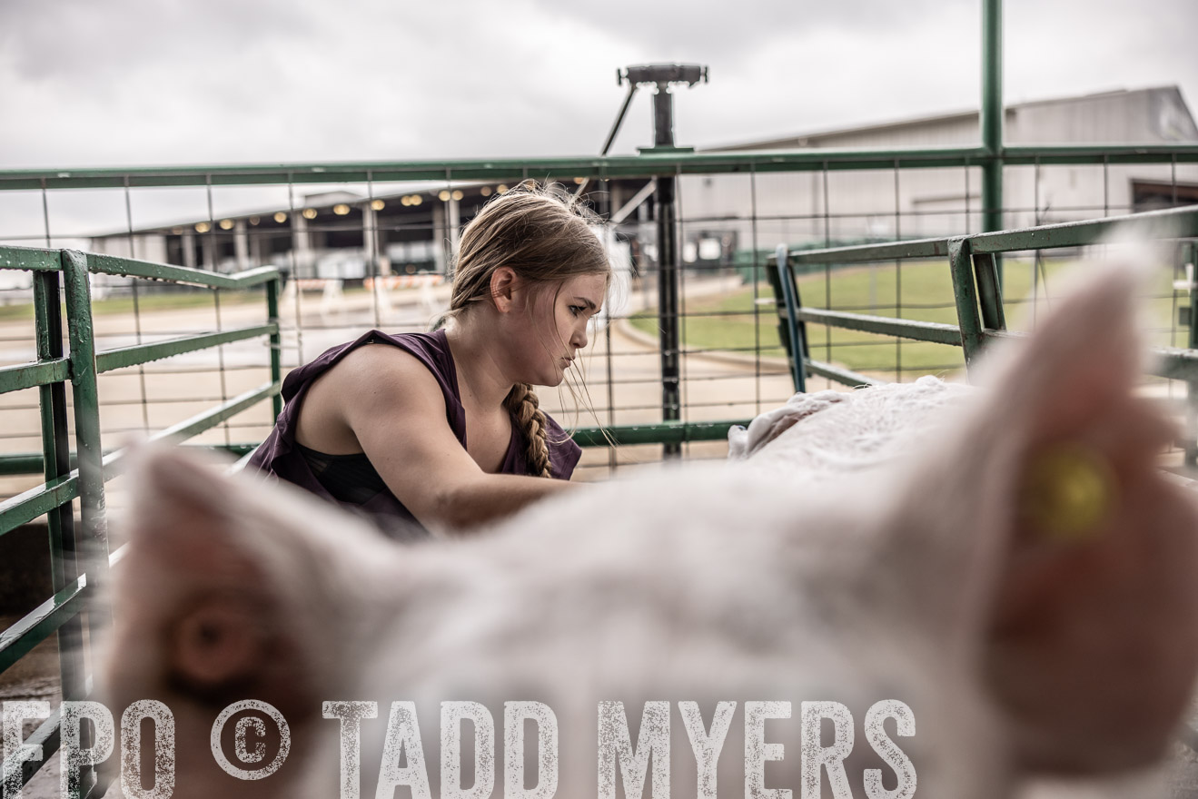 TMyers_PlotTwist_HEB_ConroeTX_April2024-516011