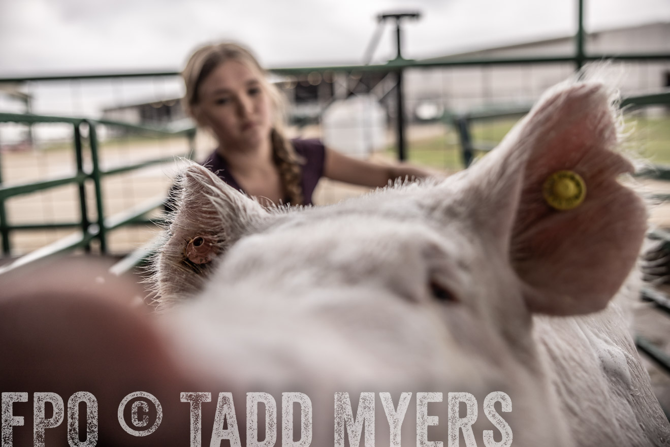 TMyers_PlotTwist_HEB_ConroeTX_April2024-516012