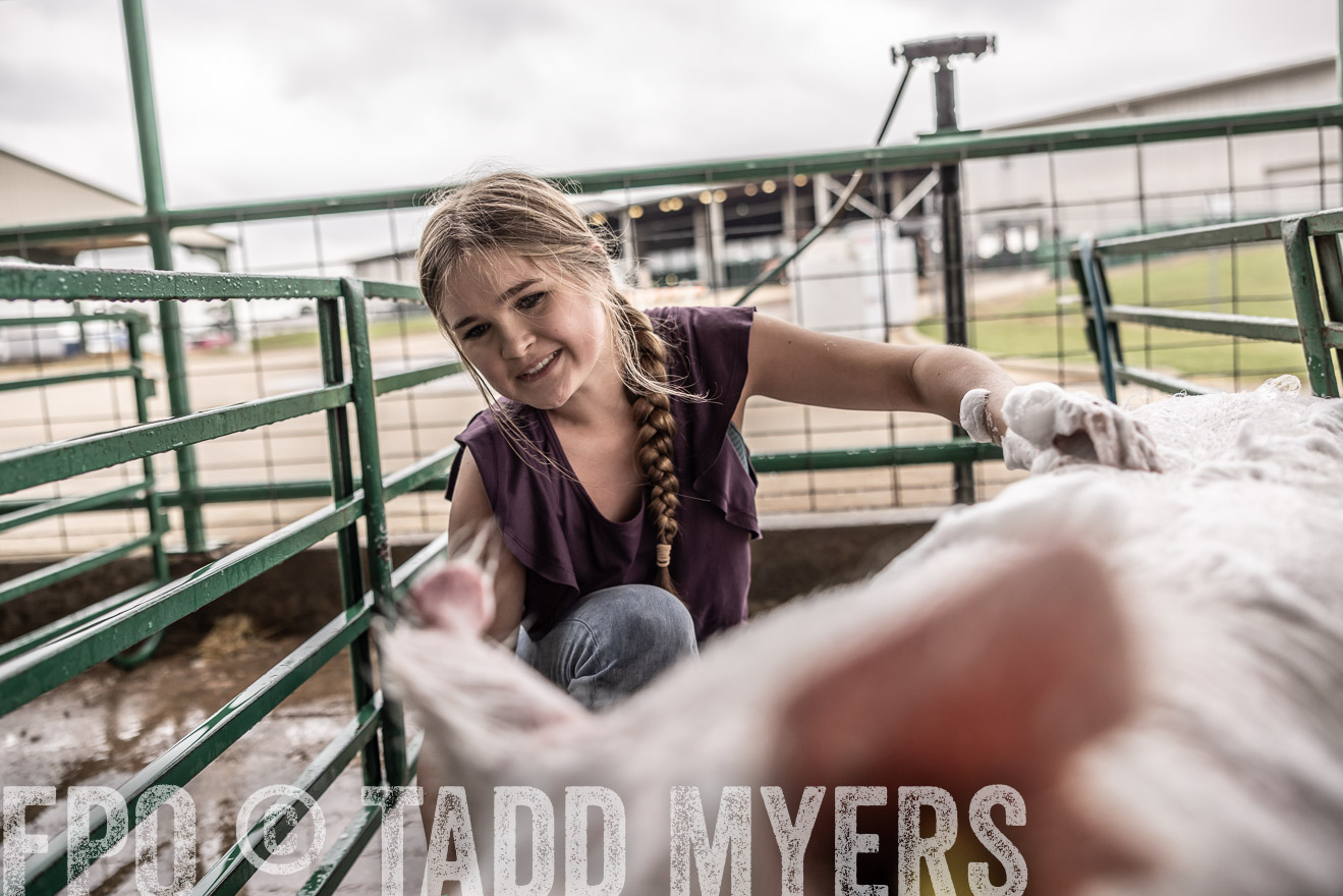 TMyers_PlotTwist_HEB_ConroeTX_April2024-516014