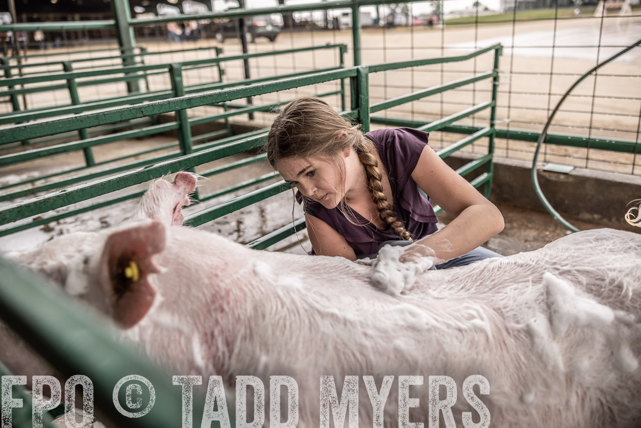 TMyers_PlotTwist_HEB_ConroeTX_April2024-516025