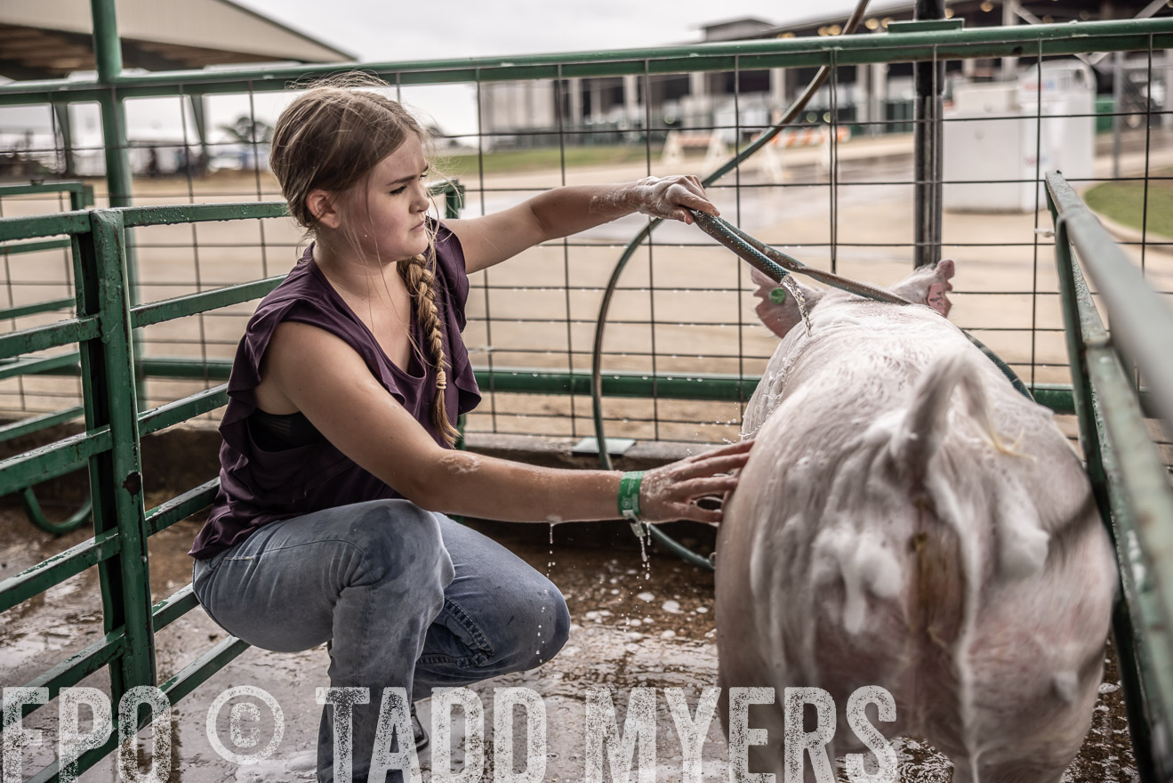 TMyers_PlotTwist_HEB_ConroeTX_April2024-516052