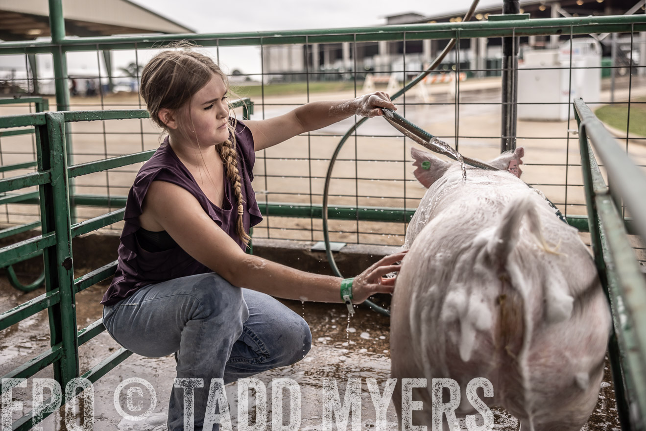 TMyers_PlotTwist_HEB_ConroeTX_April2024-516054