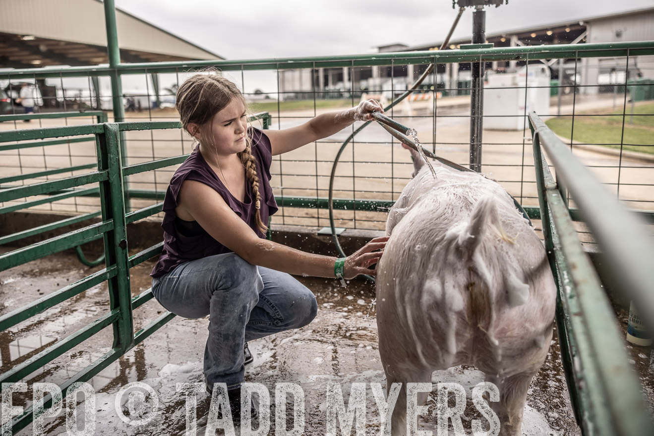 TMyers_PlotTwist_HEB_ConroeTX_April2024-516056
