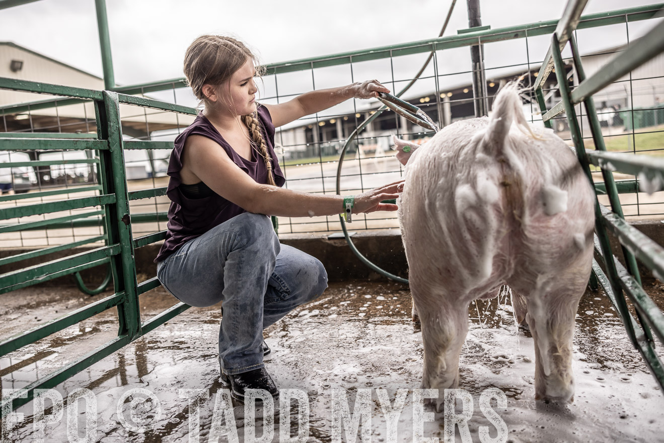 TMyers_PlotTwist_HEB_ConroeTX_April2024-516061