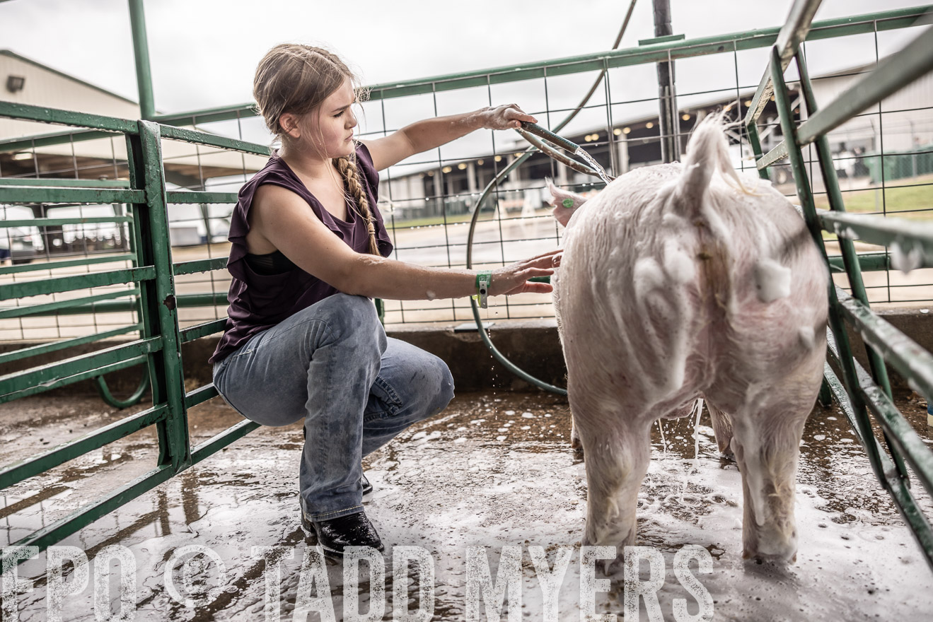 TMyers_PlotTwist_HEB_ConroeTX_April2024-516062