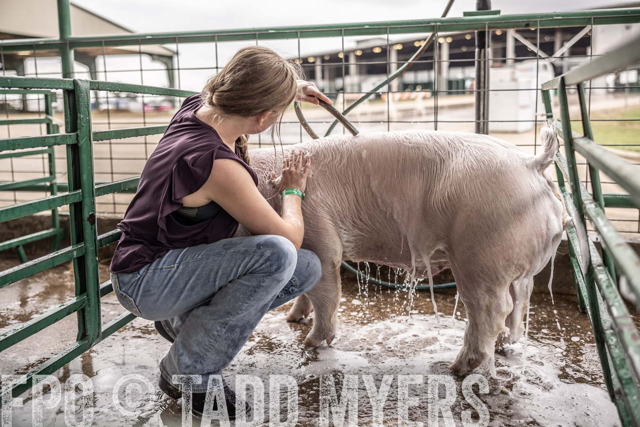 TMyers_PlotTwist_HEB_ConroeTX_April2024-516064
