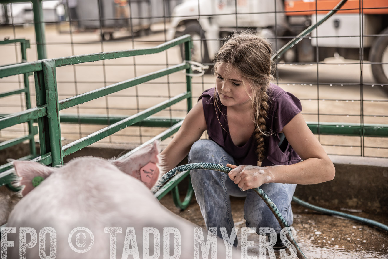 TMyers_PlotTwist_HEB_ConroeTX_April2024-516081