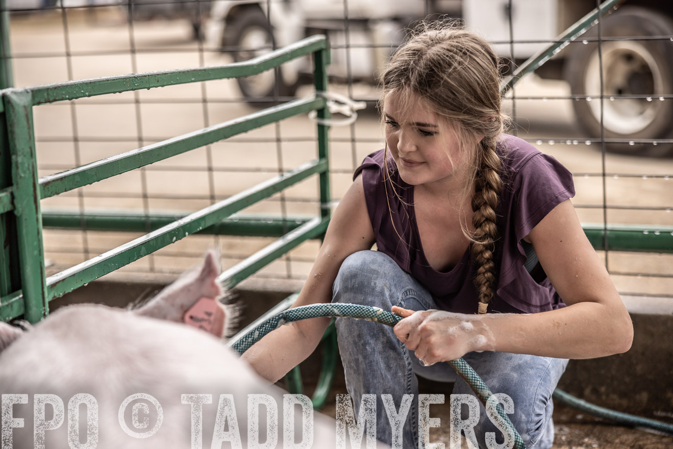 TMyers_PlotTwist_HEB_ConroeTX_April2024-516082