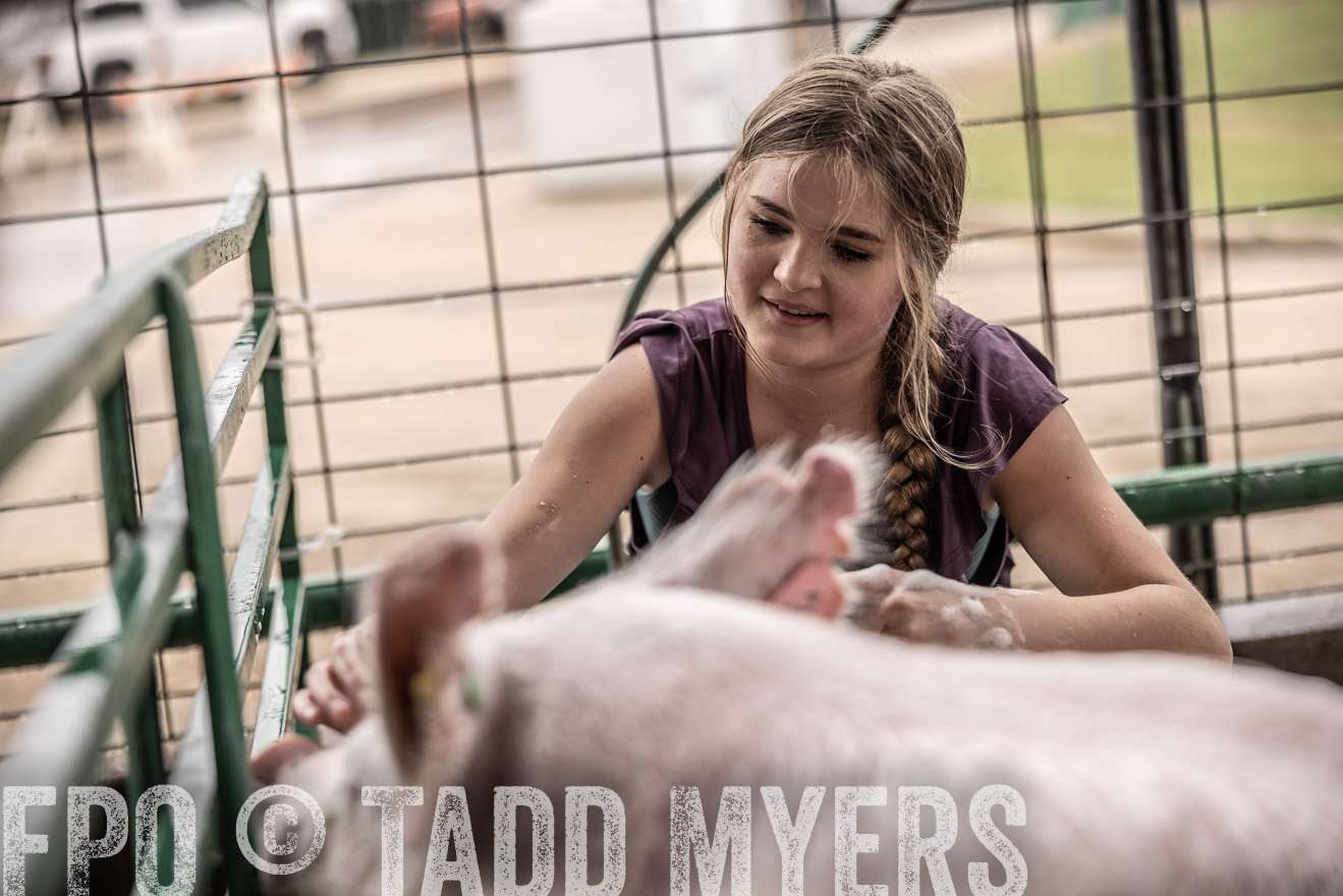 TMyers_PlotTwist_HEB_ConroeTX_April2024-516094