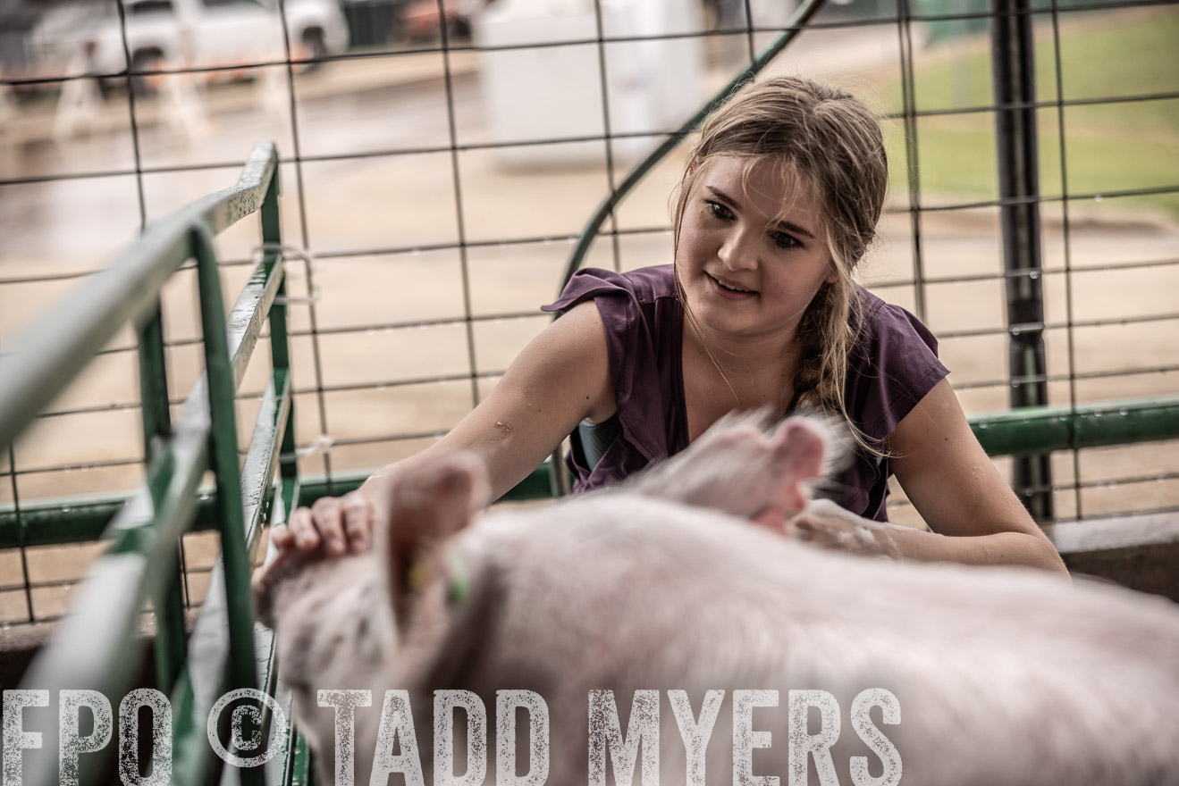 TMyers_PlotTwist_HEB_ConroeTX_April2024-516095