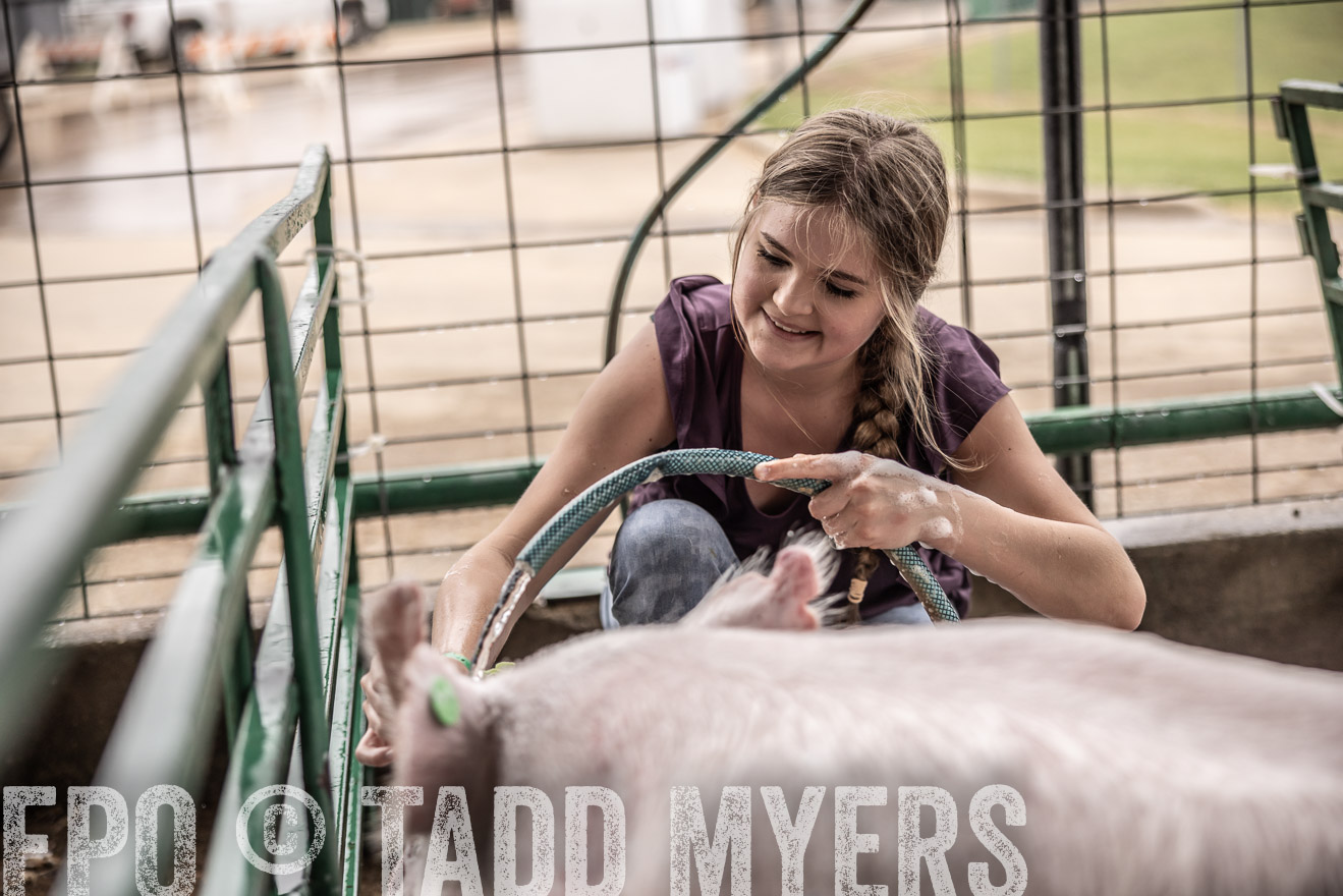 TMyers_PlotTwist_HEB_ConroeTX_April2024-516099