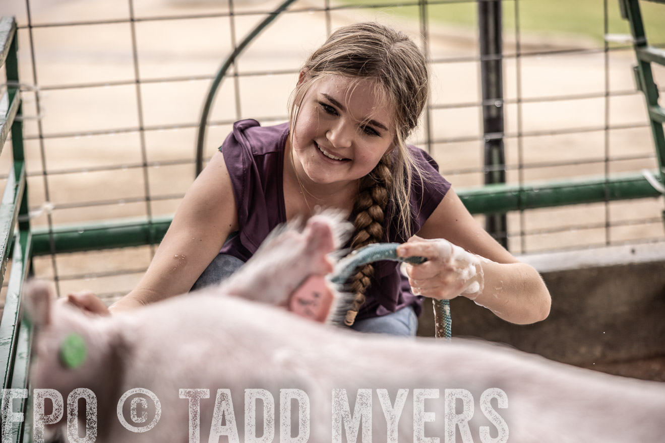 TMyers_PlotTwist_HEB_ConroeTX_April2024-516110