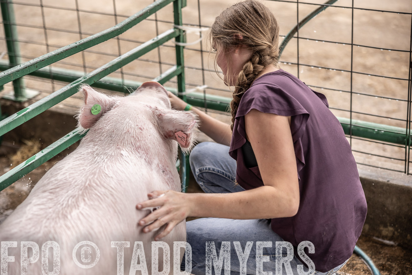 TMyers_PlotTwist_HEB_ConroeTX_April2024-516113